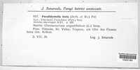 Seimatosporium tostum image